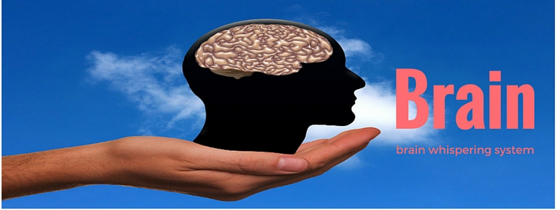 Brain-4