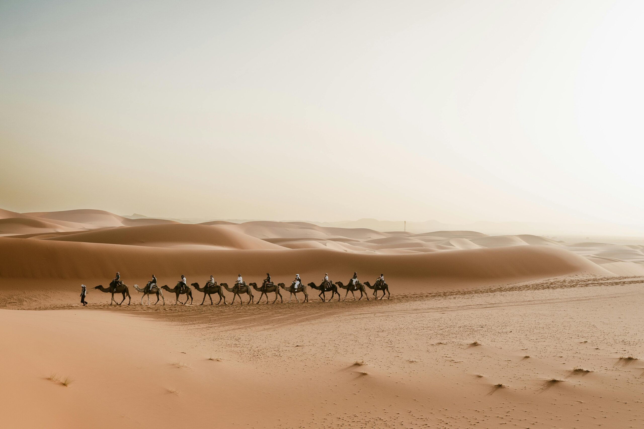 Kamelkarawane Durchquert Die DÃ¼nen Von Merzouga